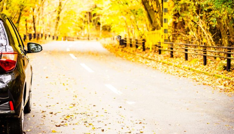Auto in strada in autunno, simbolo di raduni di motori ad ottobre